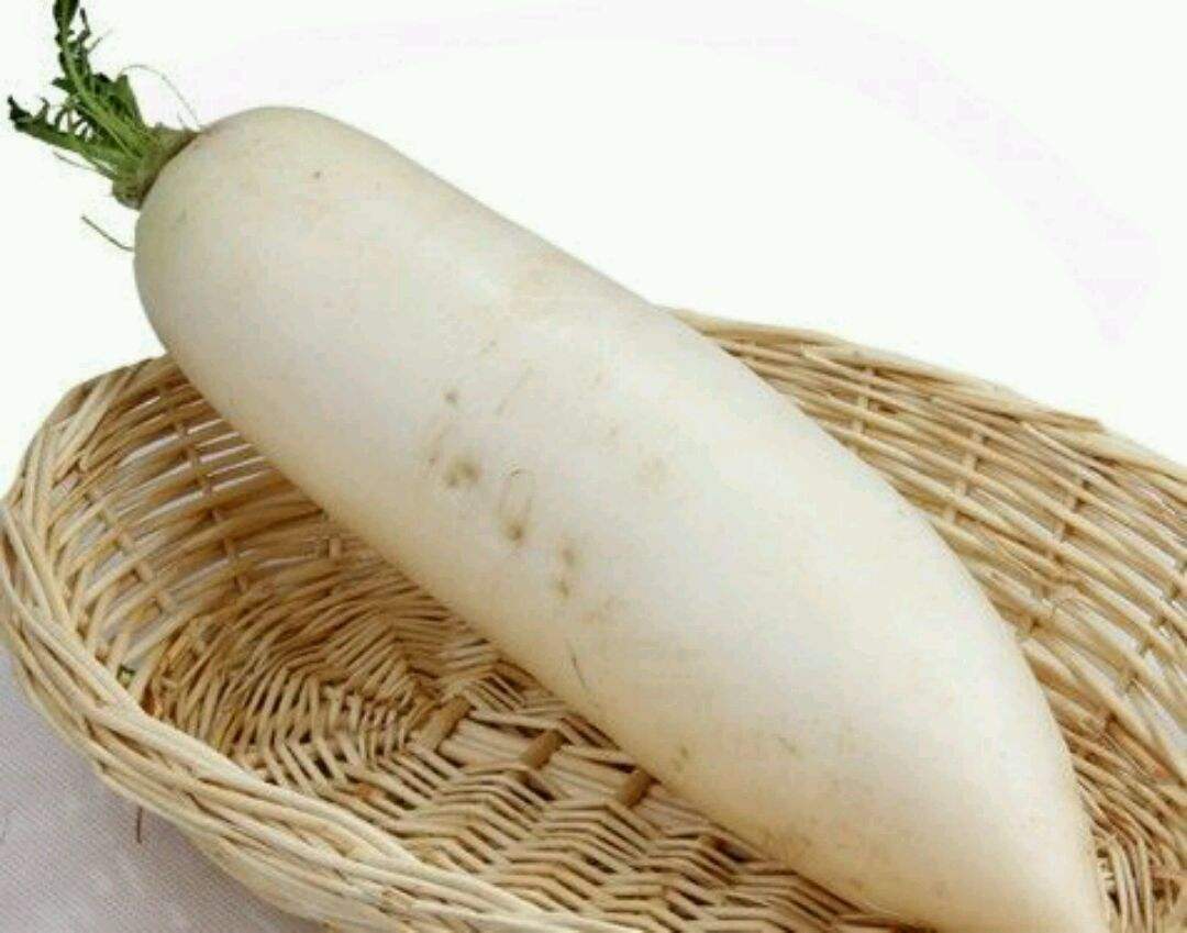 12.25白萝卜价格行情