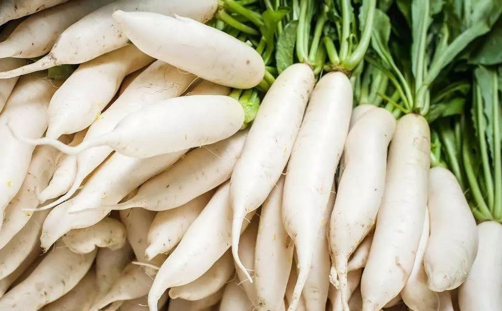 萝卜种植简单的介绍