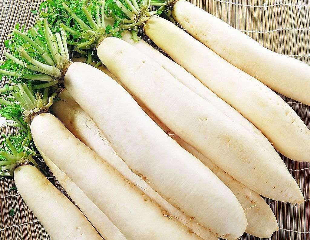 一根萝卜“几味药”，方法学会省药费！