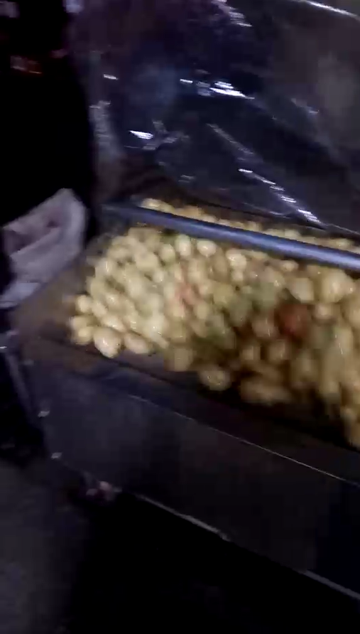 农户土豆清洗机工作视频