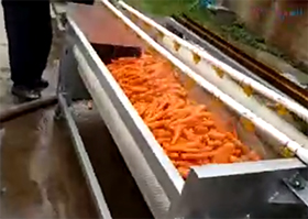 基地胡萝卜清洗机工作视频