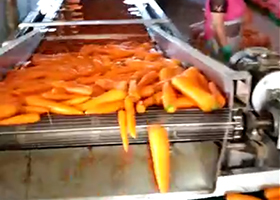 农户胡萝卜清洗机工作视频