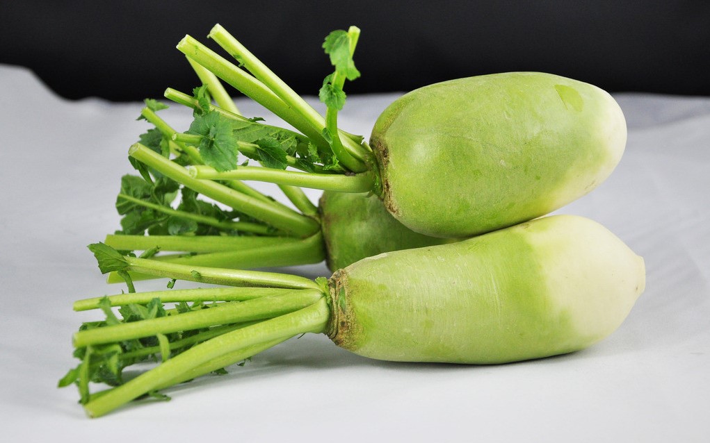 水果萝卜种植你值得一看