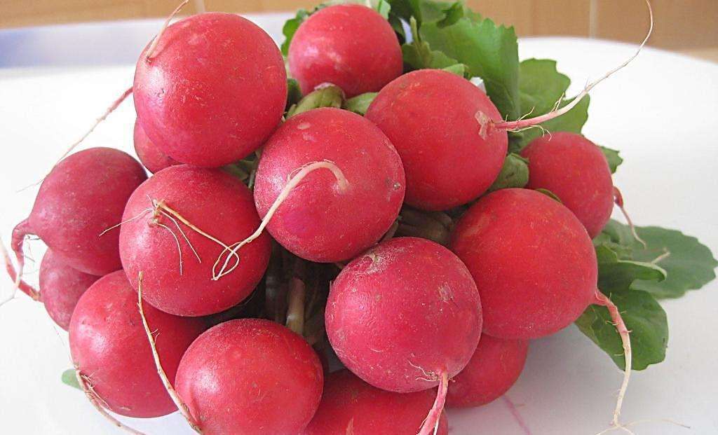 红皮萝卜营养价值