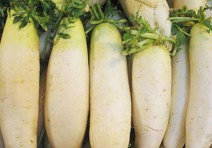 萝卜的营养价值